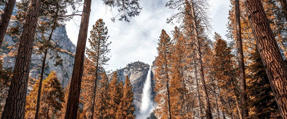 The Upper and Lower Yosemite falls are quite a view to be admired. The towering falls and cascading trees provide a captivating view for any great outdoors adventure 🌲#greatoutdoors #yosemite #waterfall