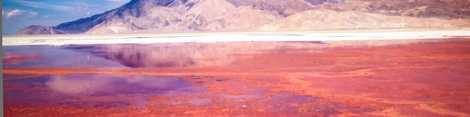 Drive down dirt roads with a dried up salt lake called Owens Lake, and find the pink salt area. Depending the time of the year it can vary from light pink to dark red. It is Gorgeous!