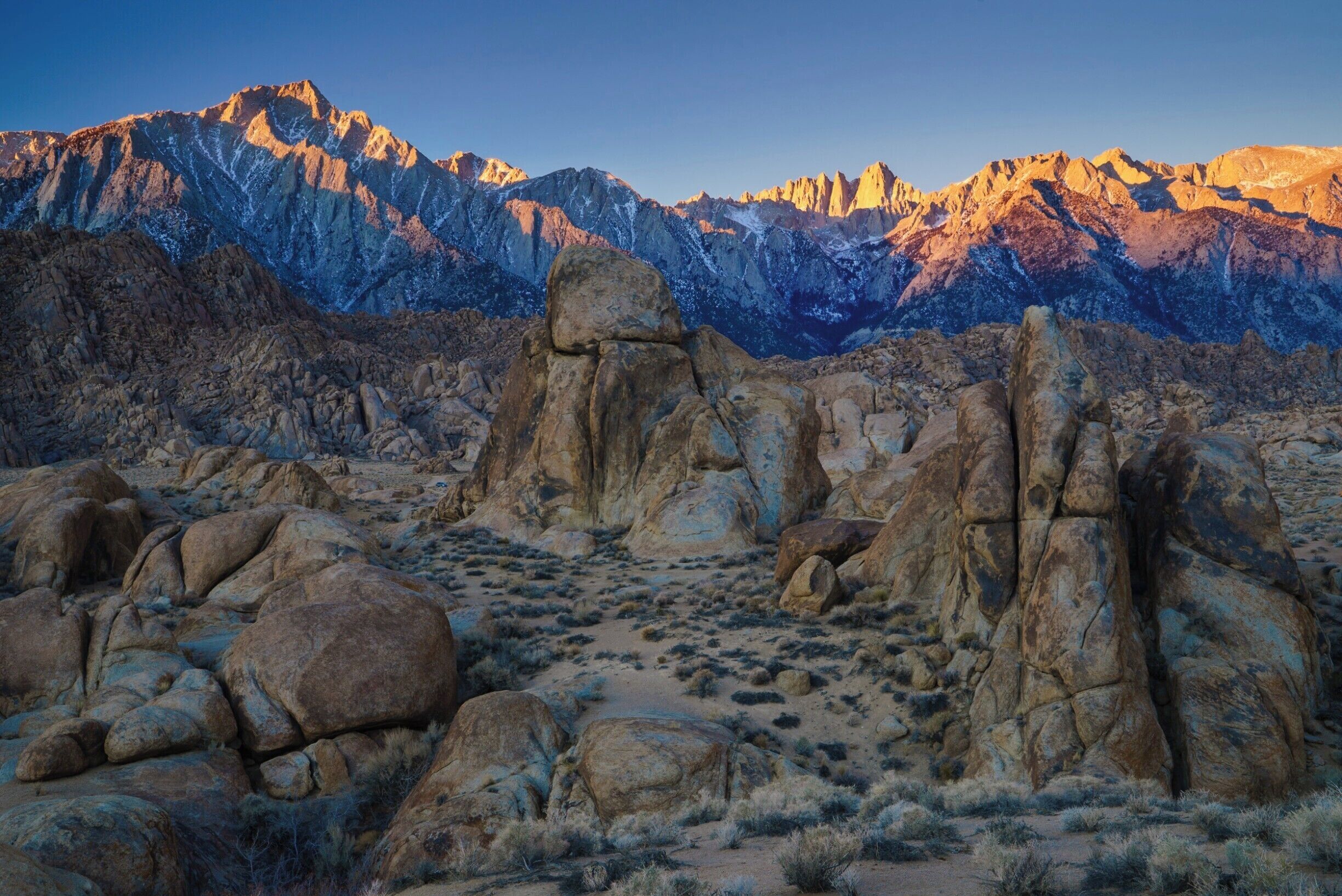This is flower in a hotel's restaurant on top of the Ifugao mountains.  Guest rooms are designed the same way as ancestral houses of the Ifugao people.
