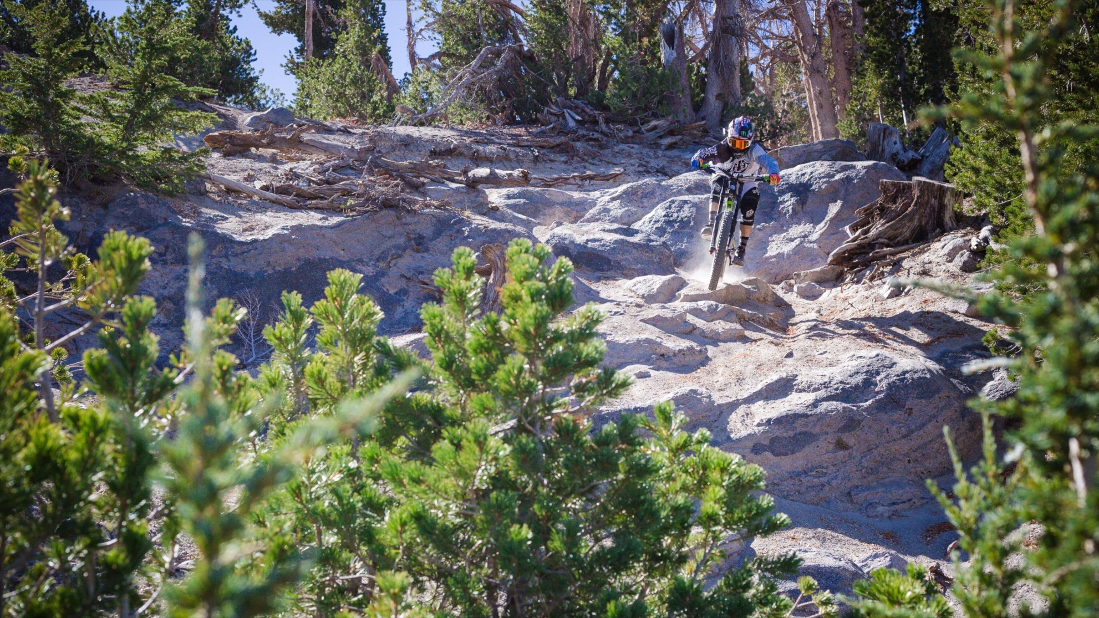 Mammoth Mountain Ski Resort which includes mountain biking and tranquil scenes as well as an individual male