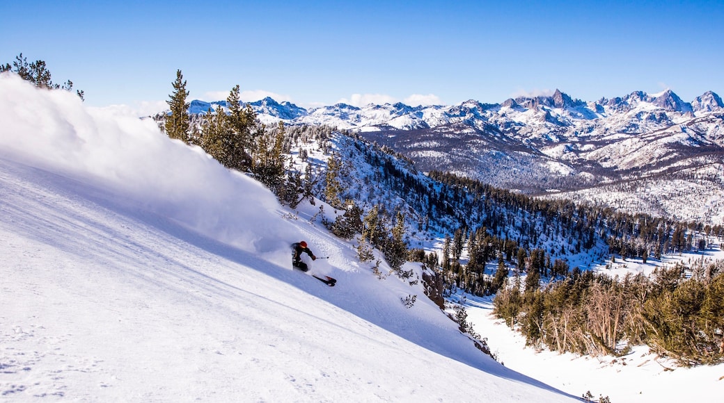 Mammoth Mountain Ski Resort showing mountains, landscape views and snow