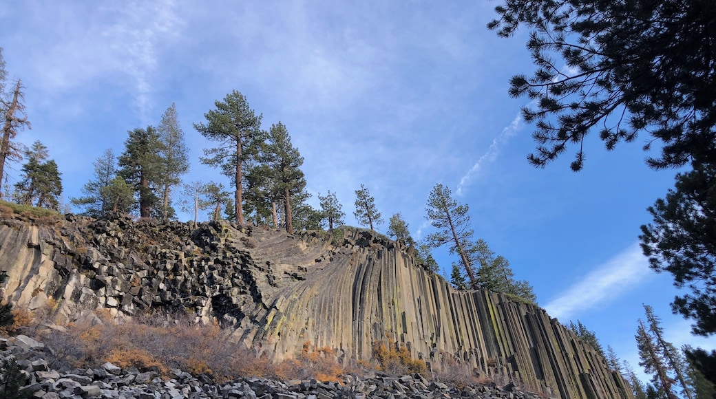 Fancy hexagonal rock pillars. #trovember #mammothlakes #outdoors #california