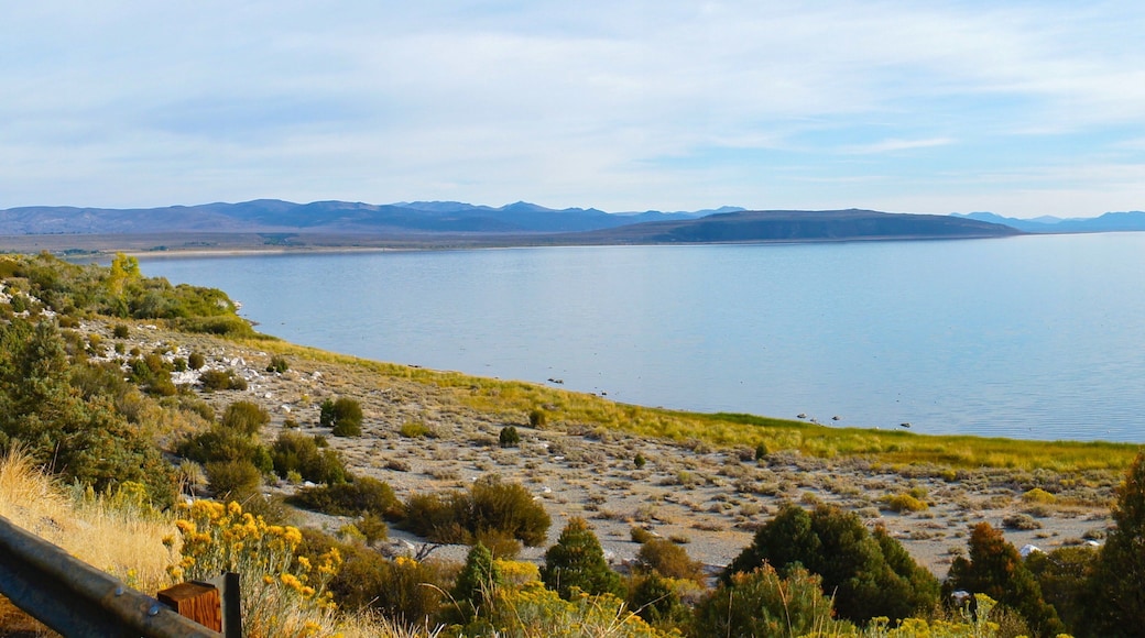 Mono-jÀrvi joka esittÀÀ maisemat ja jÀrvi tai vesikuoppa