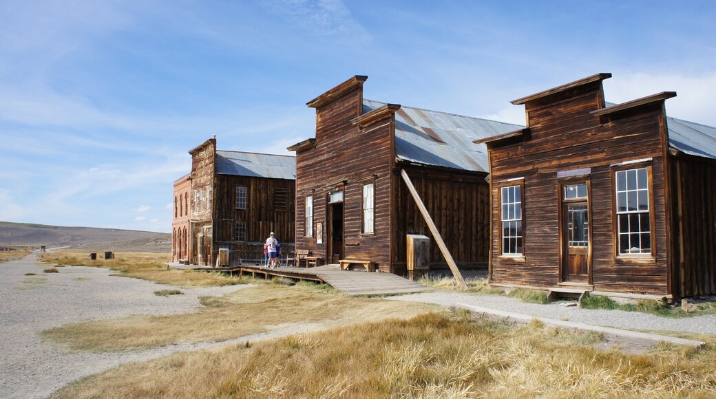 Bodie Historic District which includes heritage architecture, a small town or village and desert views