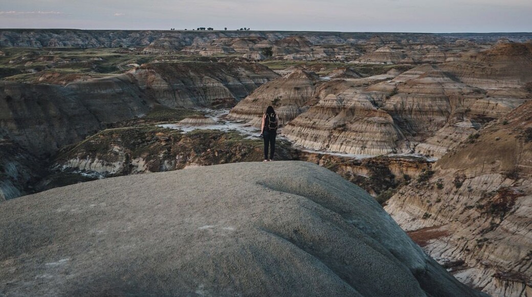 This is one of the most underrated Provincial Parks in Alberta. Lots of the park is a restricted area and an active dig site. However, there are still so many great trails and nothing beats climbing to the top of a hoodoo for 360 views.
#bandlands #canadianbadlands #travelalberta #hoodoo