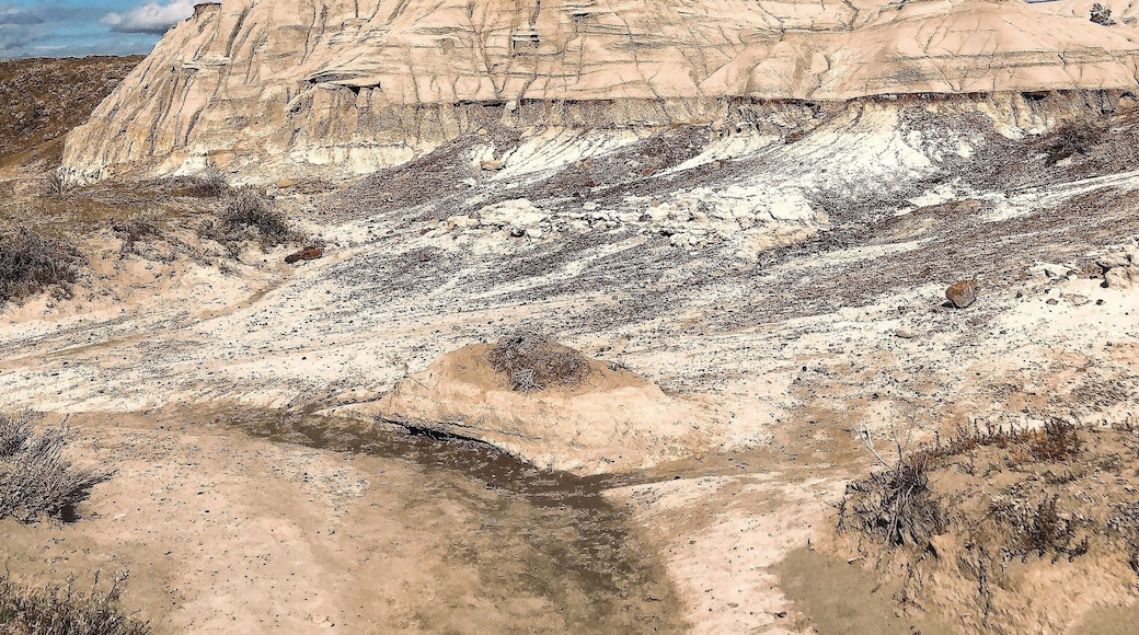 Cooler than I thought it was gonna be....