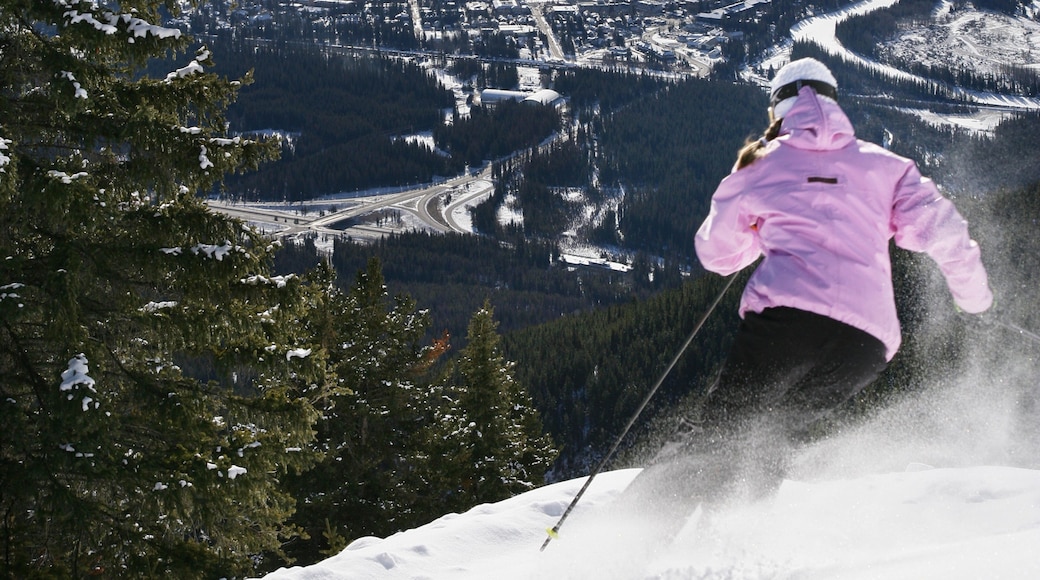 Mount Norquay Ski Resort featuring snow skiing and snow as well as an individual femail