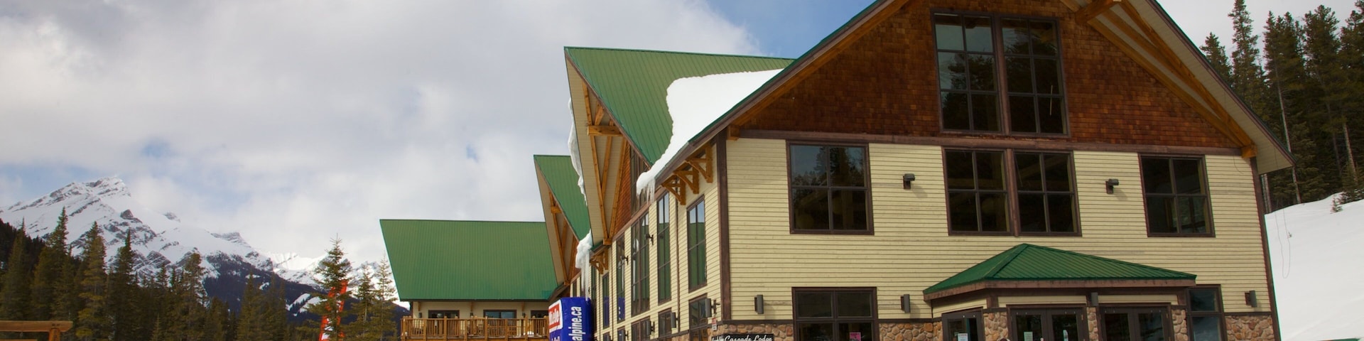 Mount Norquay Ski Resort which includes a luxury hotel or resort and snow