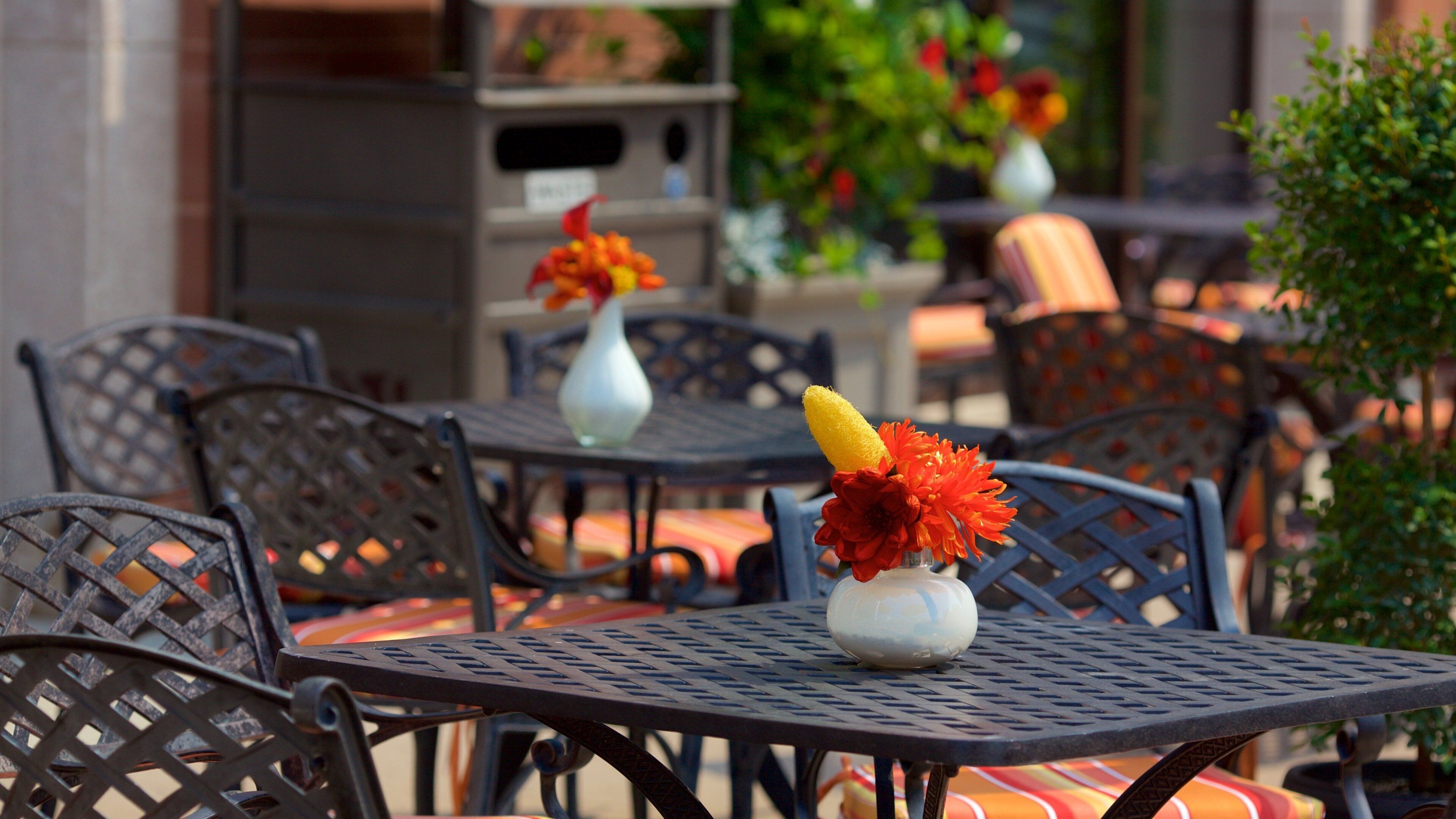 Rose Theatre featuring cafe scenes