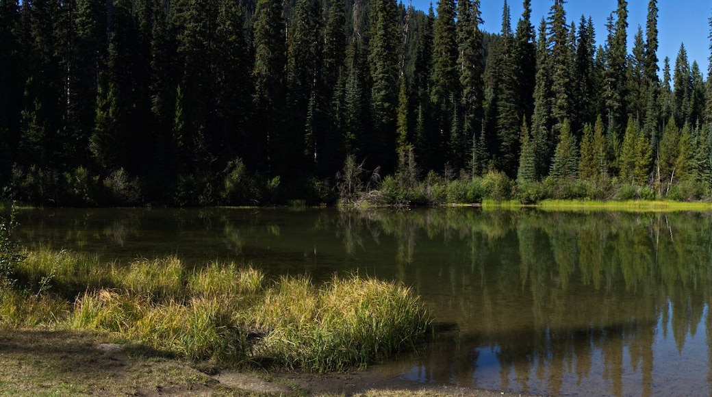 A calm lake surrounded by dense forests and mountains.