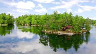 St. Lawrence Islands National Park showing a river or creek and forest scenes