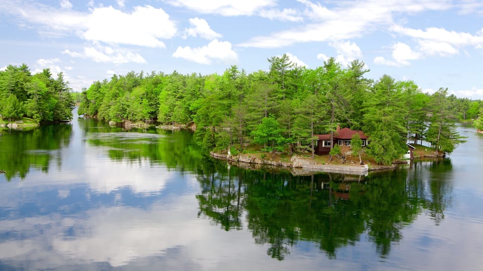 A serene lake surrounded by dense green trees and a small wooden cabin on a dock.