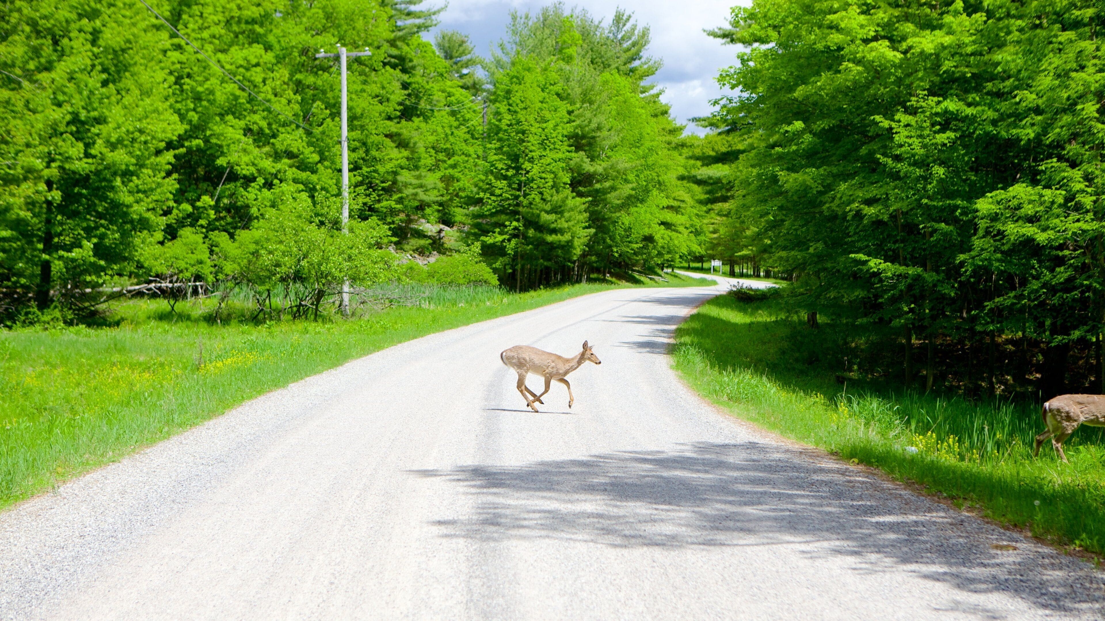 Parc national de St Lawrence Islands