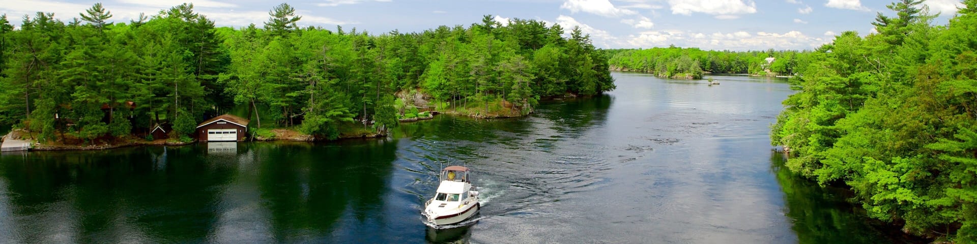 A river with a boat, surrounded by dense green forest and a clear sky.