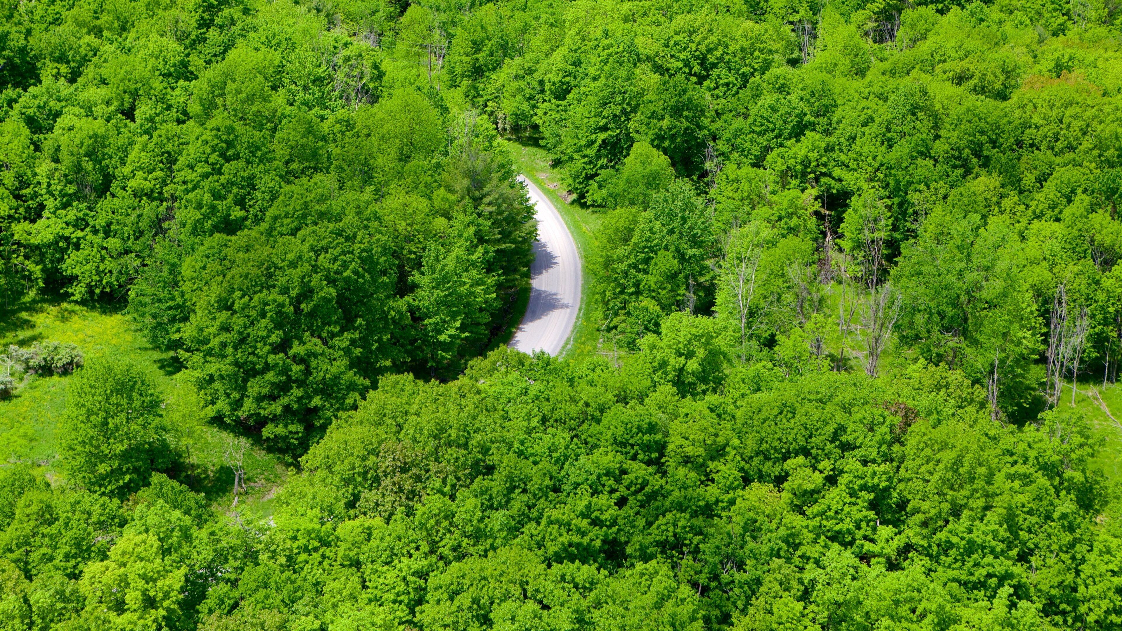 St. Lawrence Islands National Park featuring forests