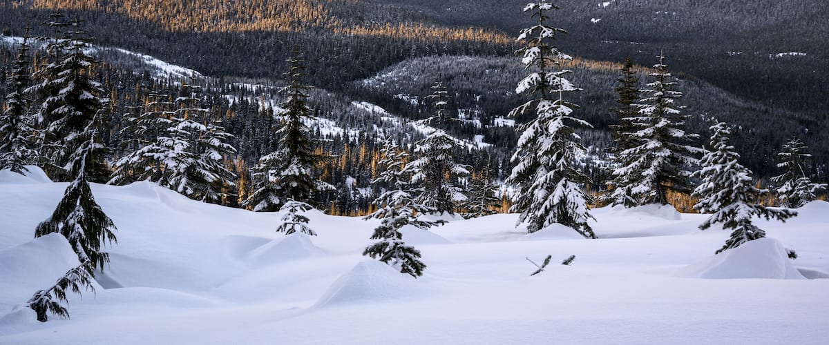 Mount Washington Alpine Resort in Courtenay, Vancouver Island, BC Canada