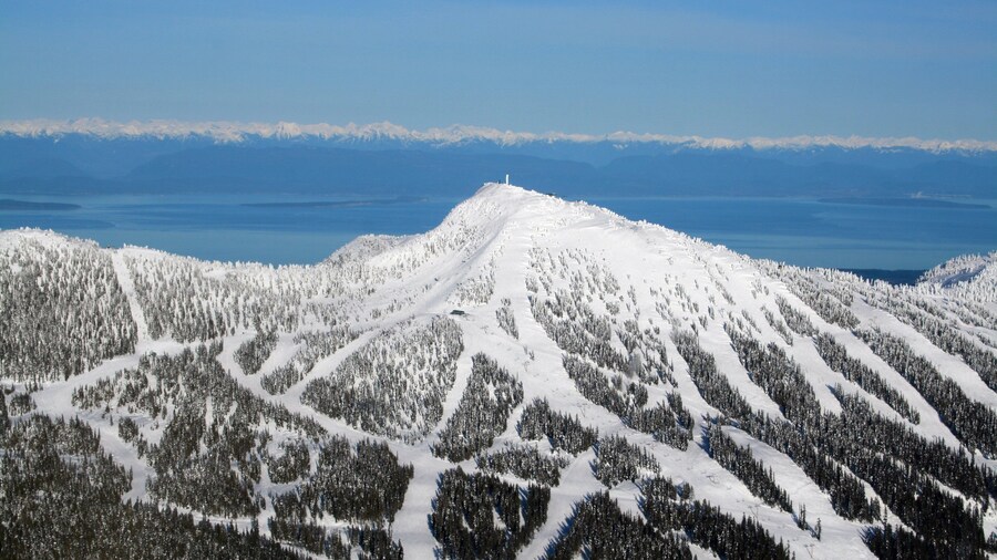 Mount Washington Alpine Resort showing landscape views, mountains and snow