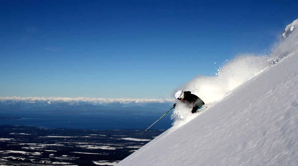 Mount Washington Alpine Resort which includes snow skiing and snow