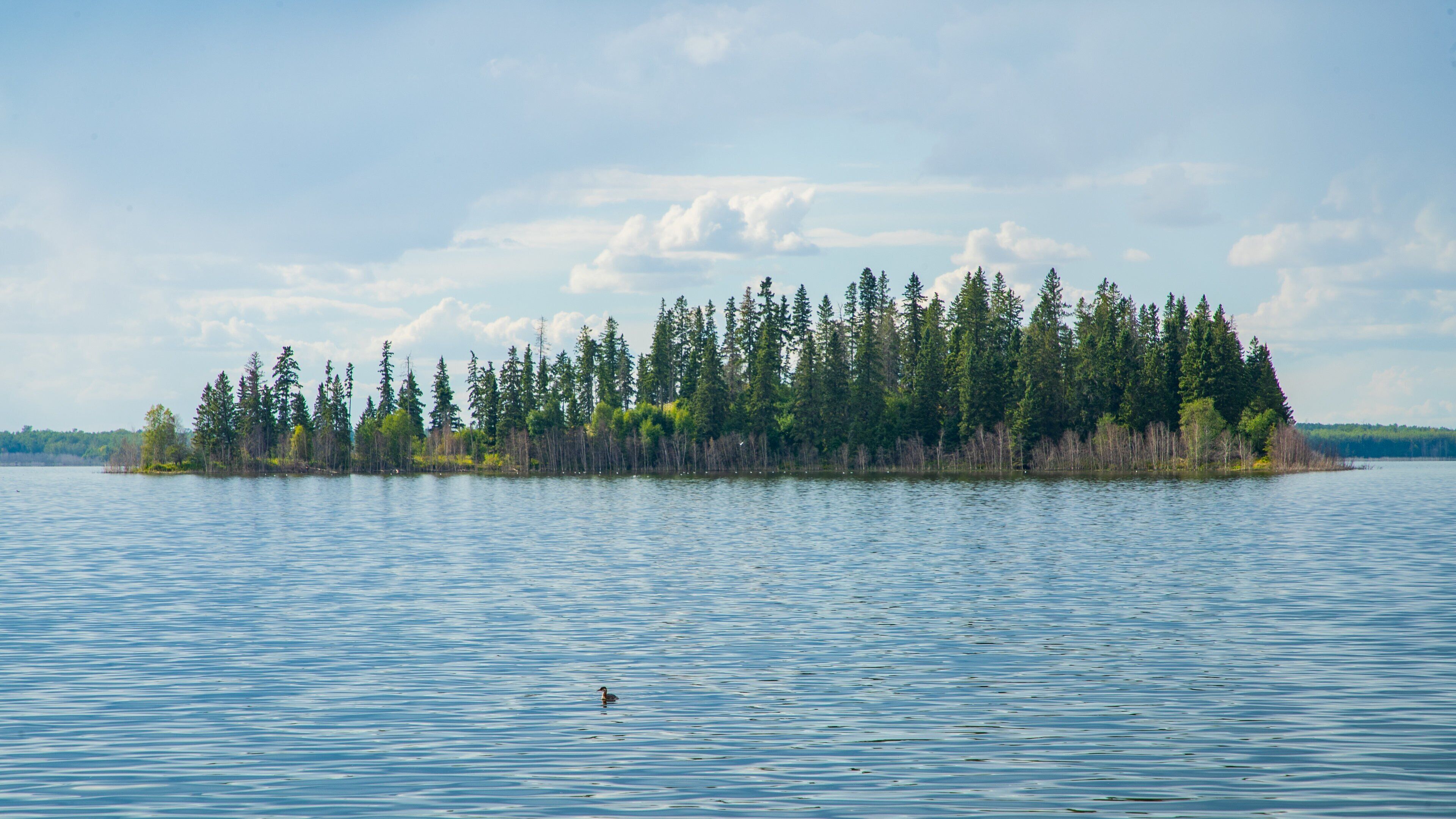 Elk Island National Park showing general coastal views and island views