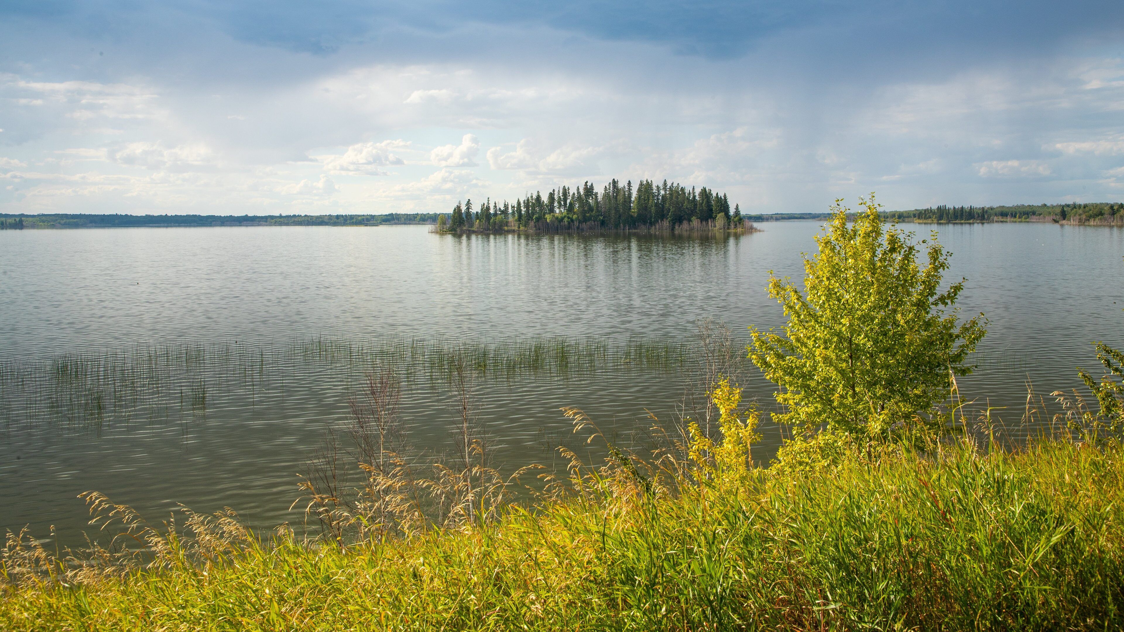 Elk Island National Park which includes general coastal views