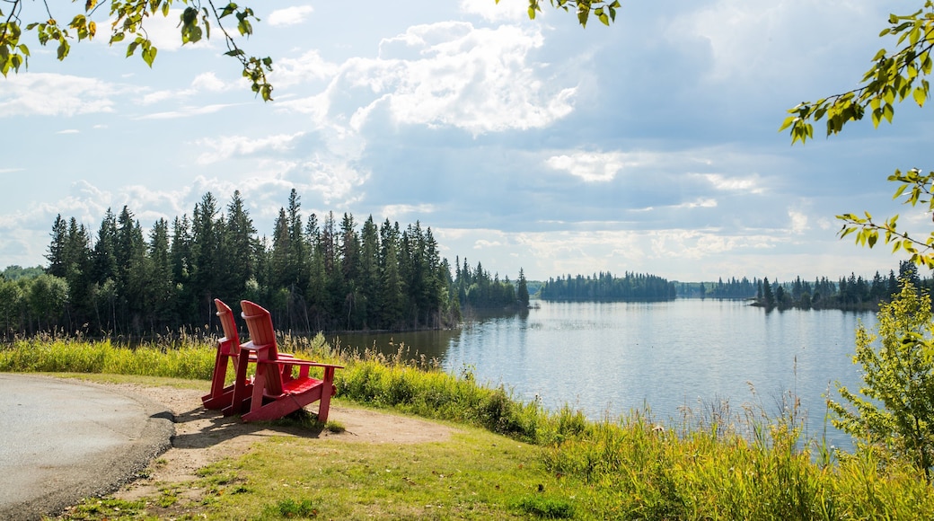 Elk Island National Park which includes a lake or waterhole and a park