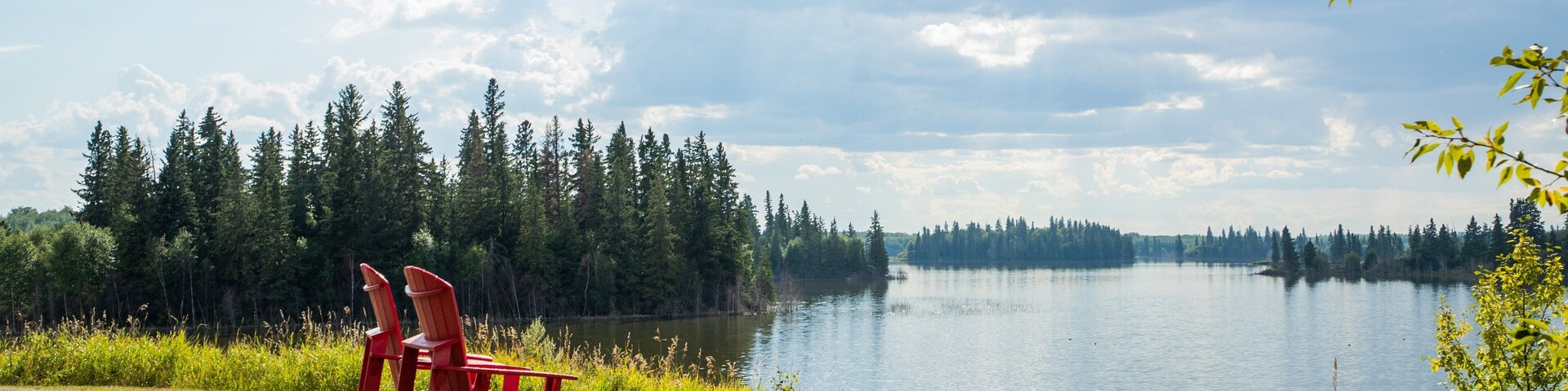 Elk Island National Park which includes a lake or waterhole and a park