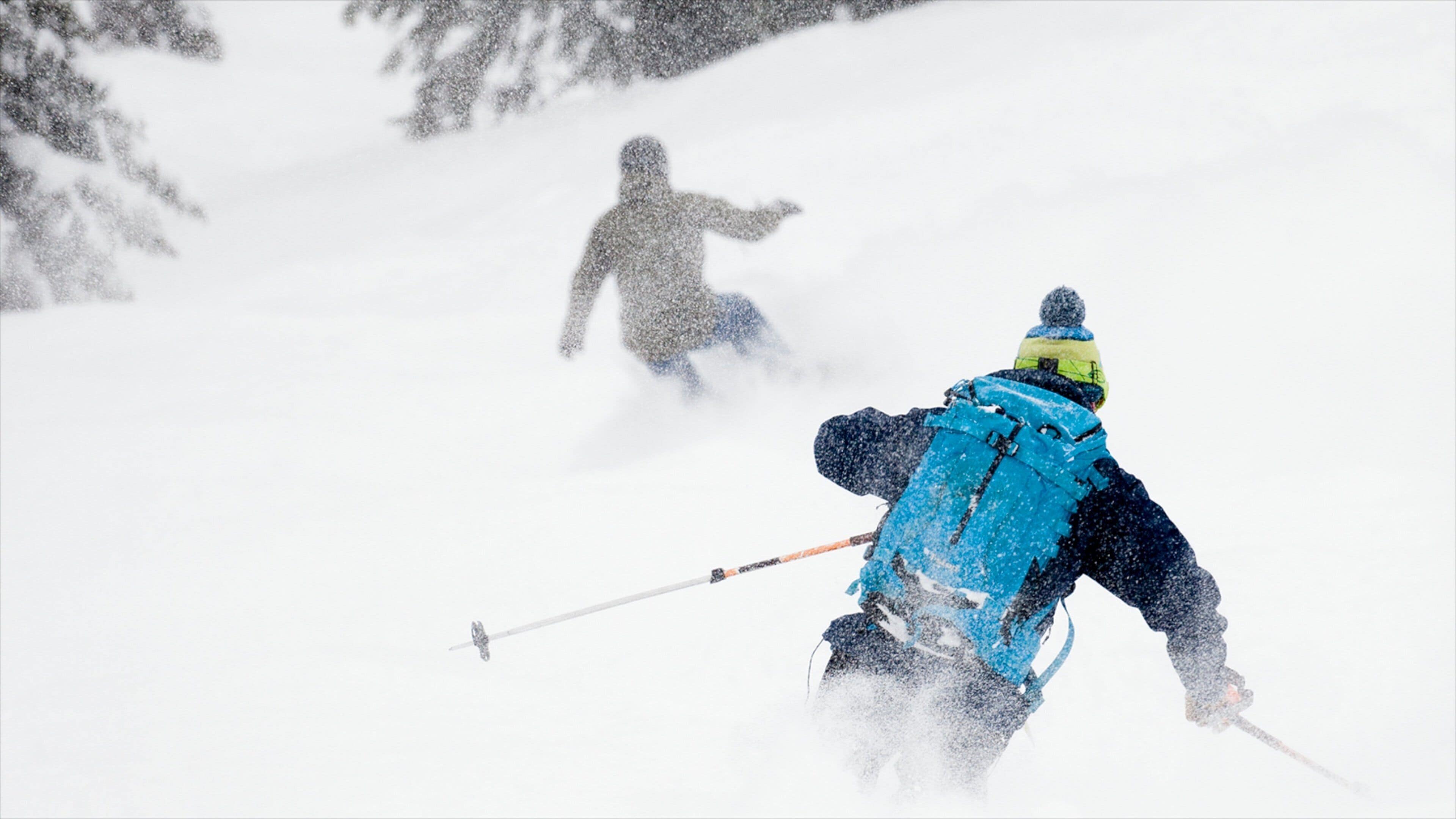 Fernie Alpine Resort showing cross-country skiing and snow