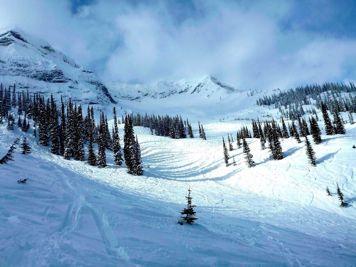 Fernie Alpine Resort had some of the best snow and the longest, most challenging runs I've ever been on. I can't wait to go back someday.

#britishcolumbia #mountains #snowboarding #canada #fernie
#snow