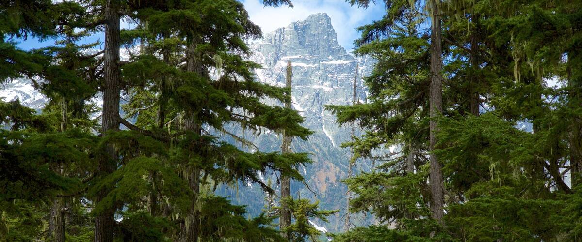 グレーシャー国立公園 フィーチャー 山々