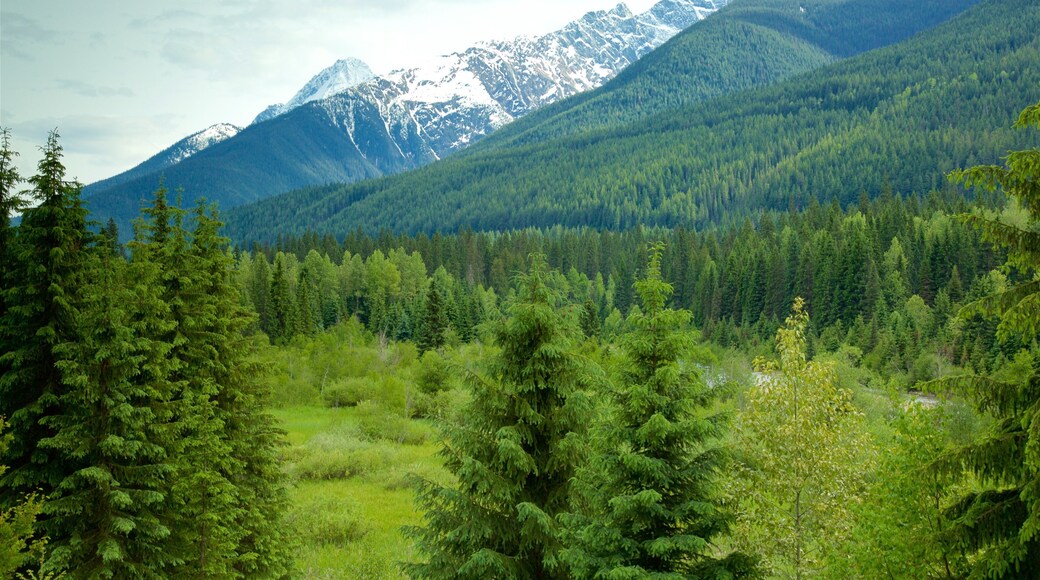Glacier National Park which includes tranquil scenes and mountains