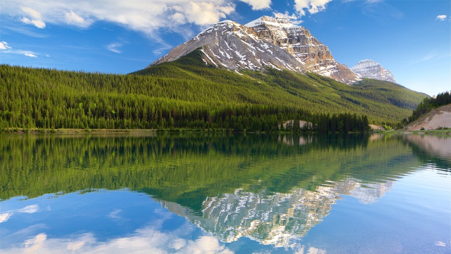 Yoho National Park featuring a river or creek, tranquil scenes and mountains