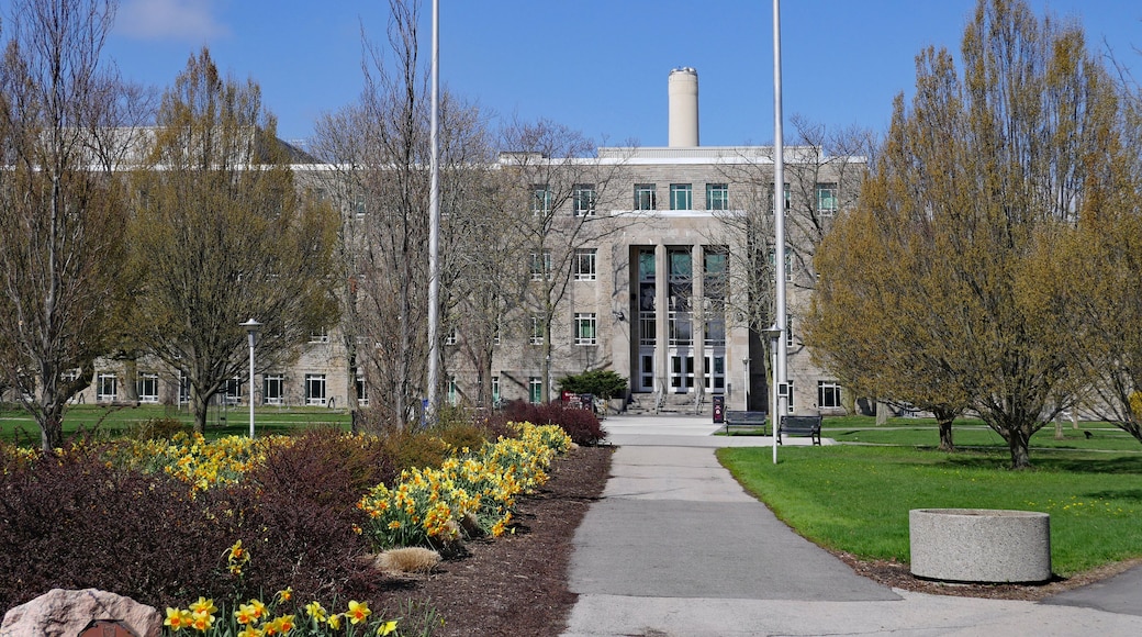 Universitas McMaster