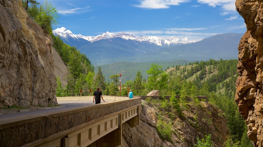 Kootenay National Park showing tranquil scenes as well as an individual male