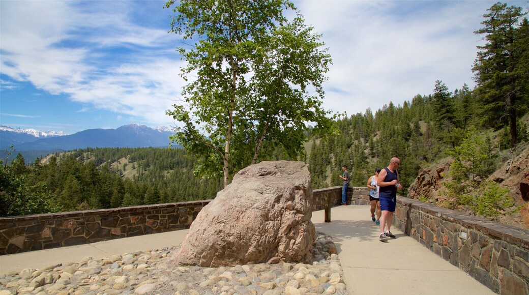 Kootenay National Park featuring tranquil scenes and views as well as a small group of people