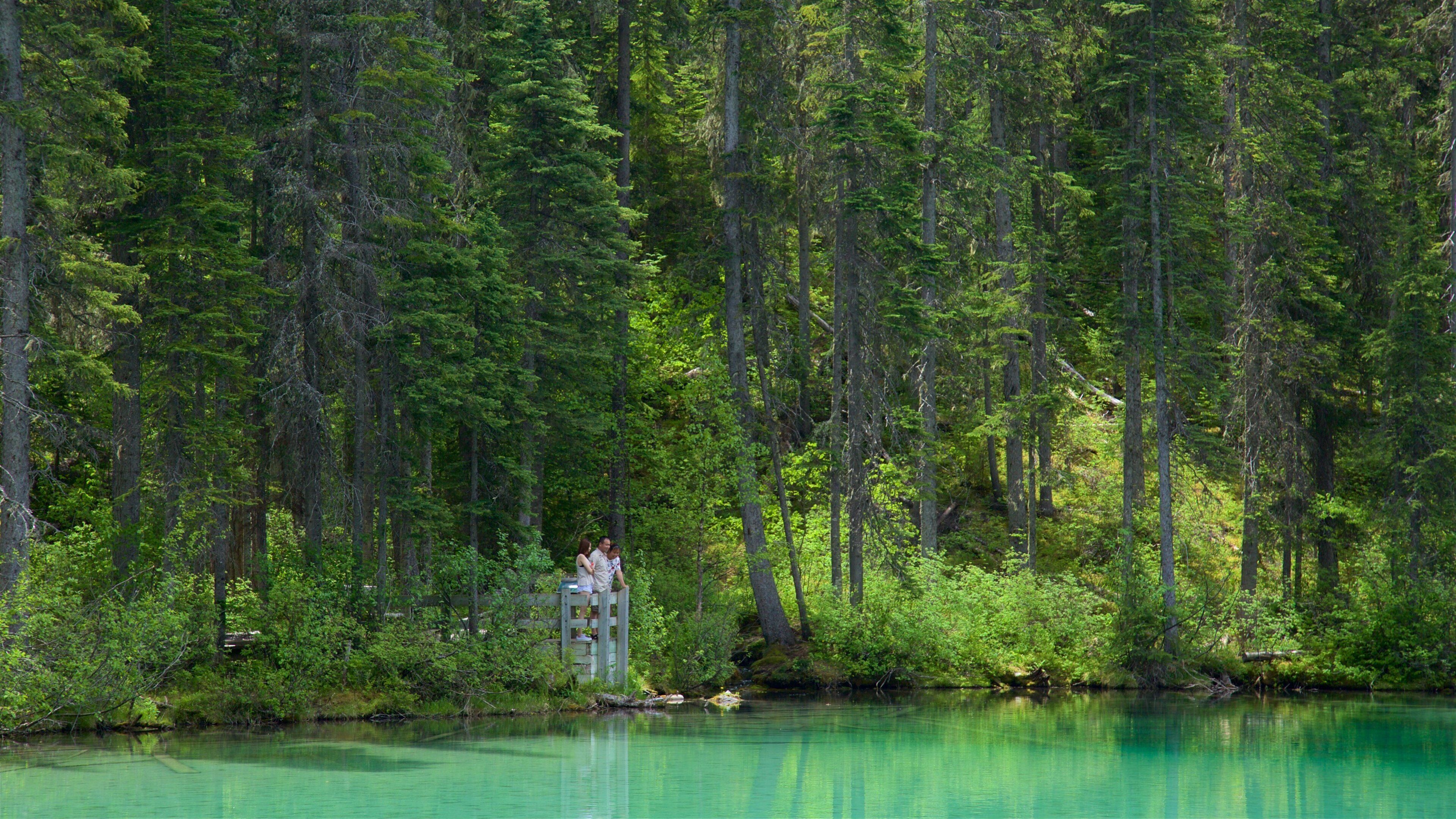 Kootenay National Park que incluye un lago o abrevadero y bosques y también una pareja