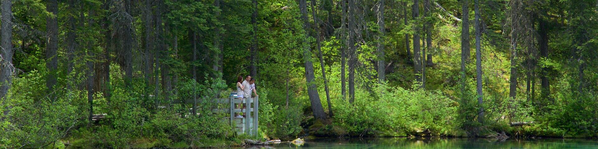A forested area with a small cabin by a clear lake.
