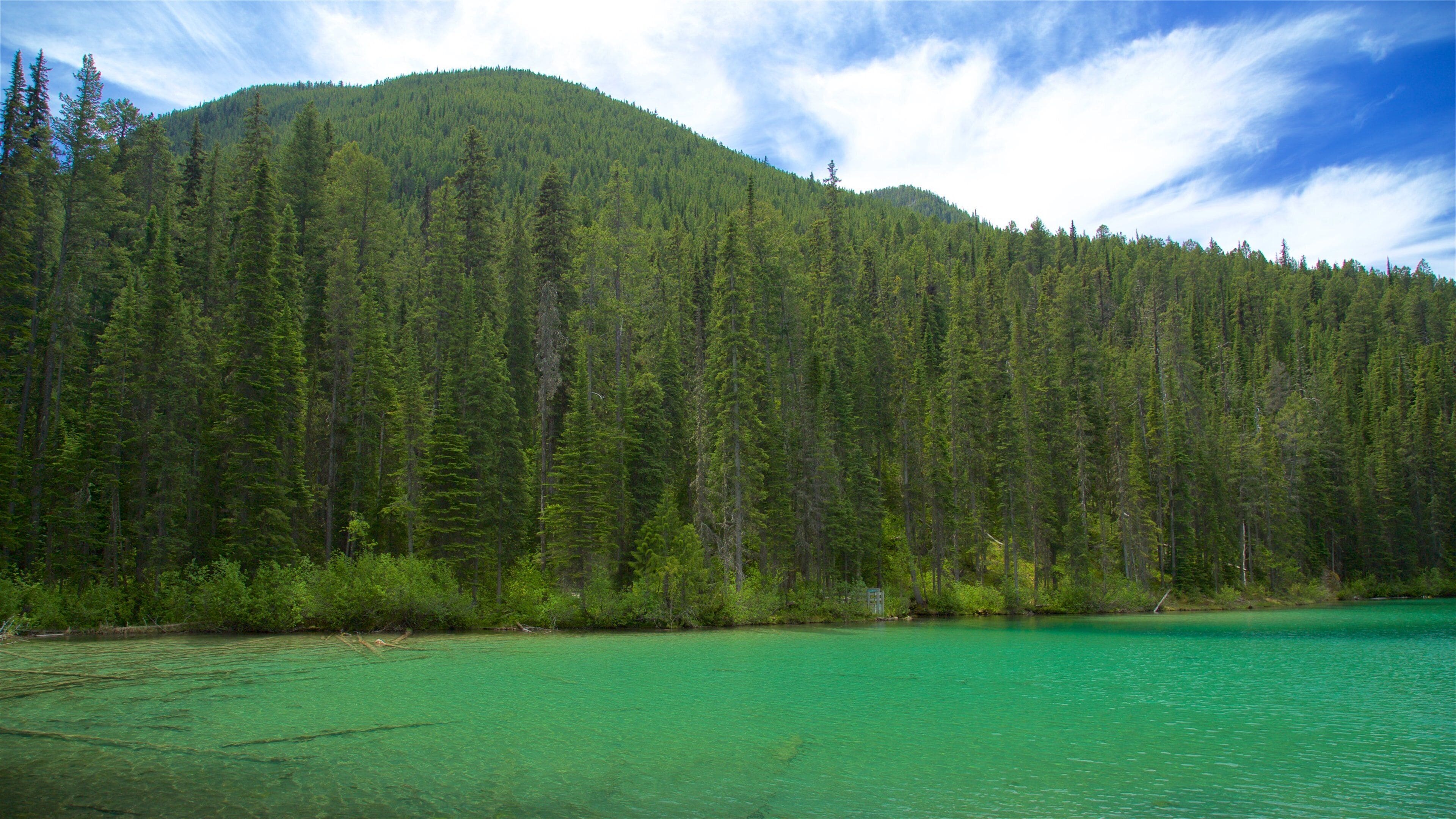 Kootenay National Park featuring a lake or waterhole and tranquil scenes