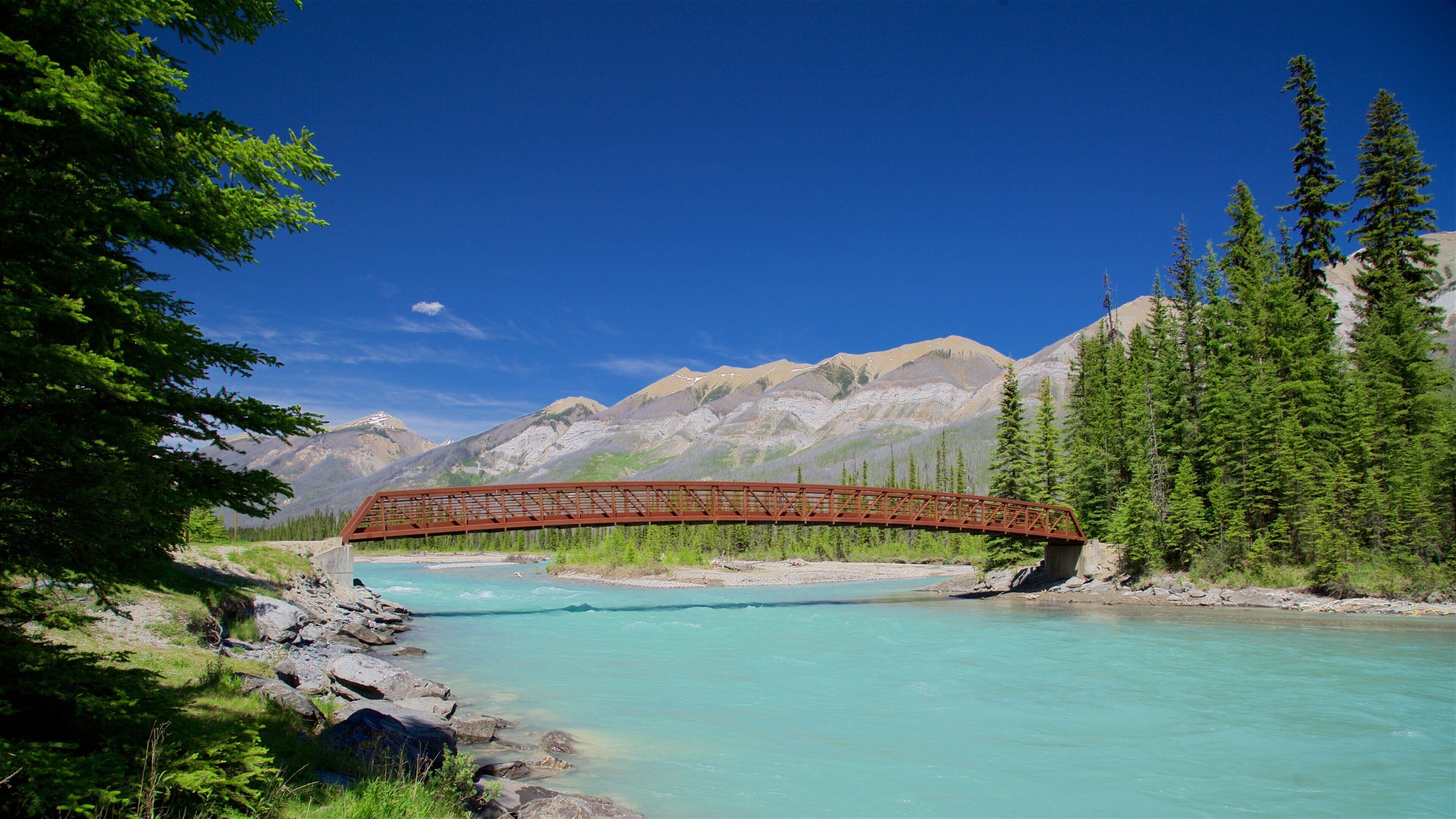 Kootenay National Park featuring tranquil scenes, a bridge and a river or creek