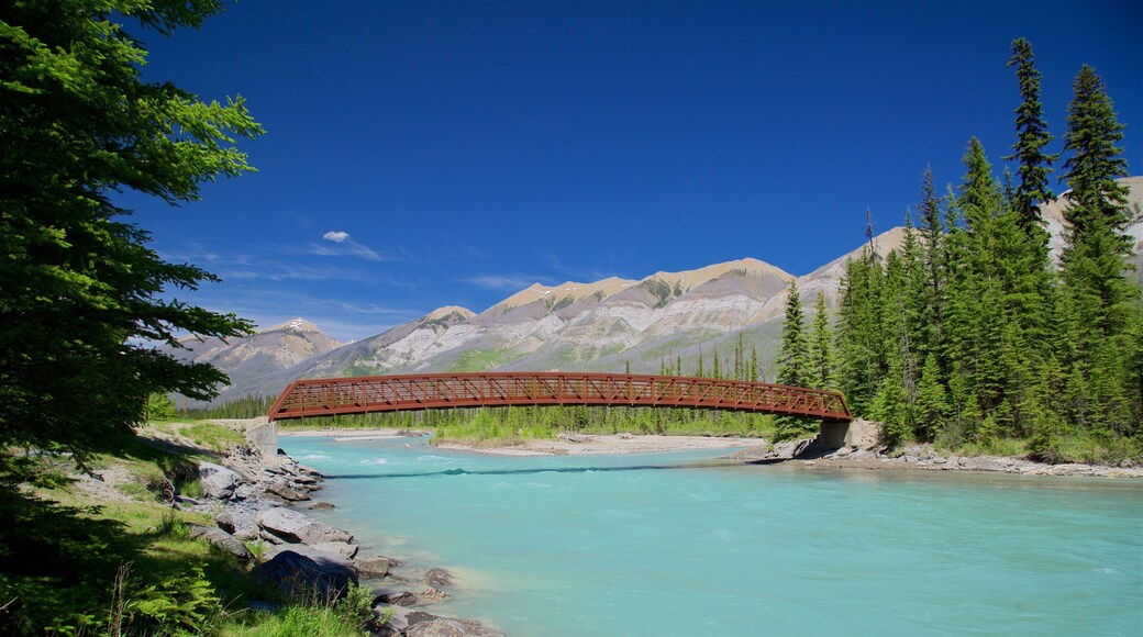 Kootenay National Park featuring tranquil scenes, a bridge and a river or creek
