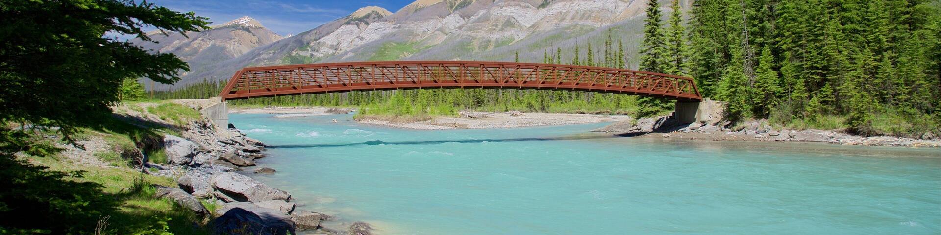 Kootenay National Park showing tranquil scenes, a river or creek and a bridge