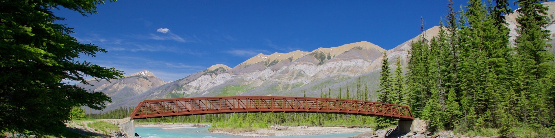 Parc national de Kootenay qui includes scĂšnes tranquilles, pont et riviĂšre ou ruisseau