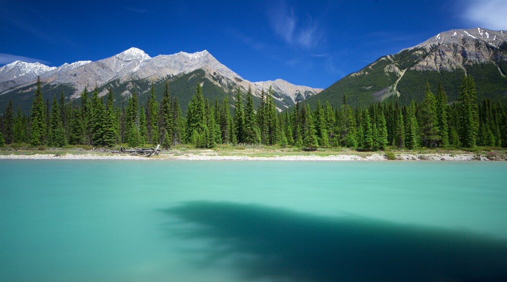 Kootenay National Park showing tranquil scenes and a river or creek