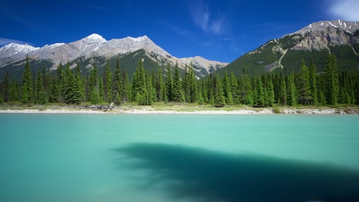 Kootenay National Park welches beinhaltet Fluss oder Bach und ruhige Szenerie