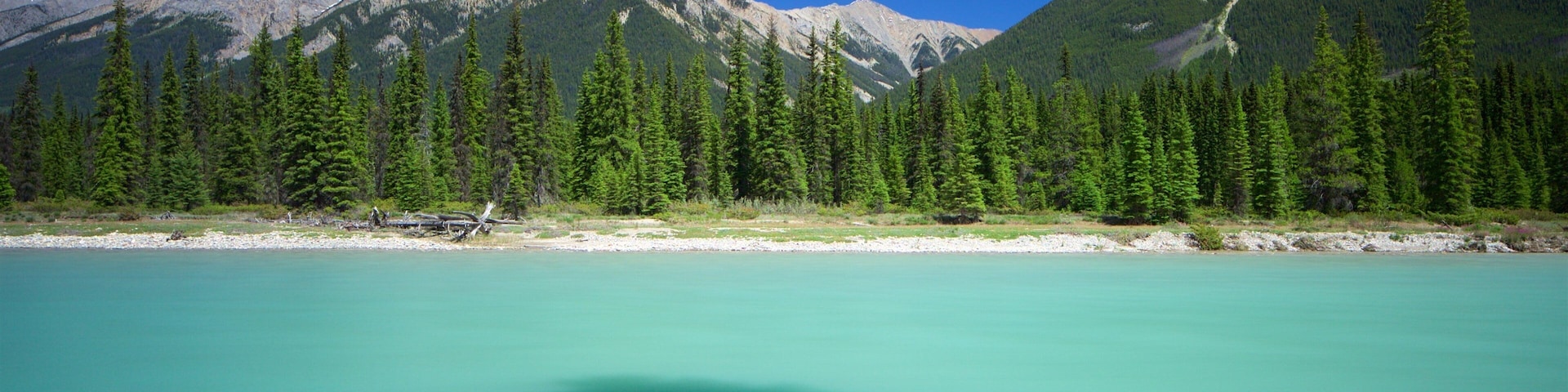 Kootenay National Park showing tranquil scenes and a river or creek
