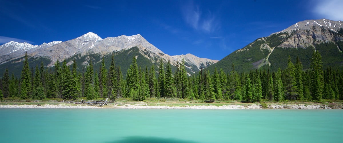 A turquoise lake surrounded by dense green forests and snow-capped mountains under a clear blue sky.