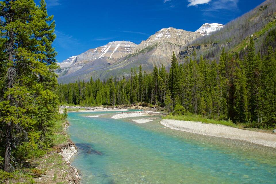 A clear turquoise river winding through a forested valley with snow-capped mountains in the background.