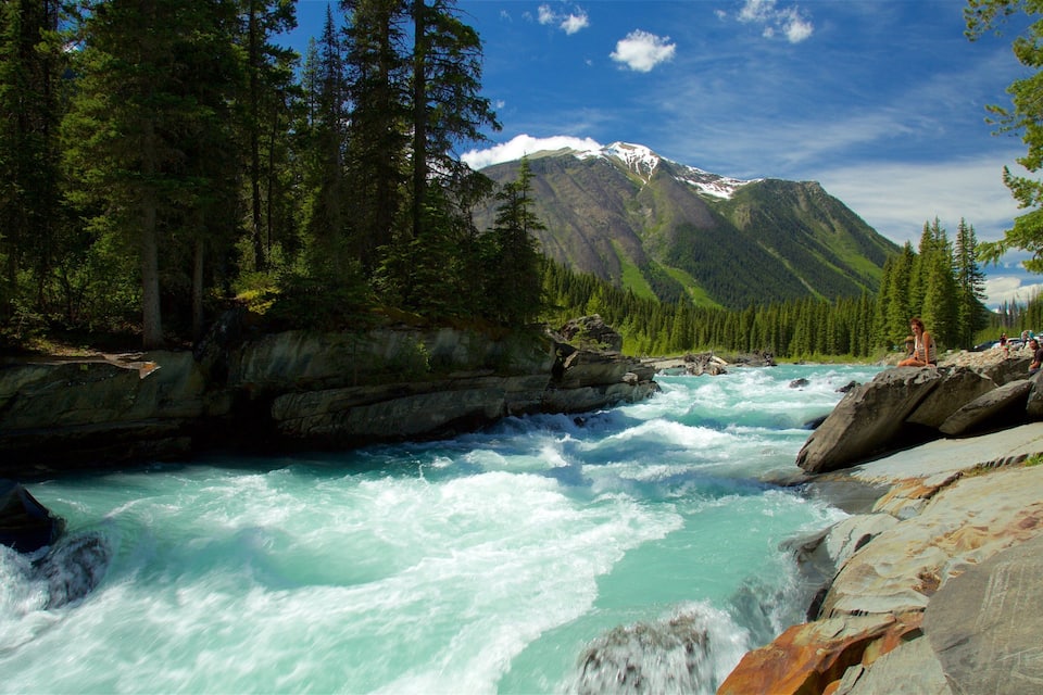 A fast-flowing river with rocky banks, surrounded by dense forests and a snow-capped mountain in the background.