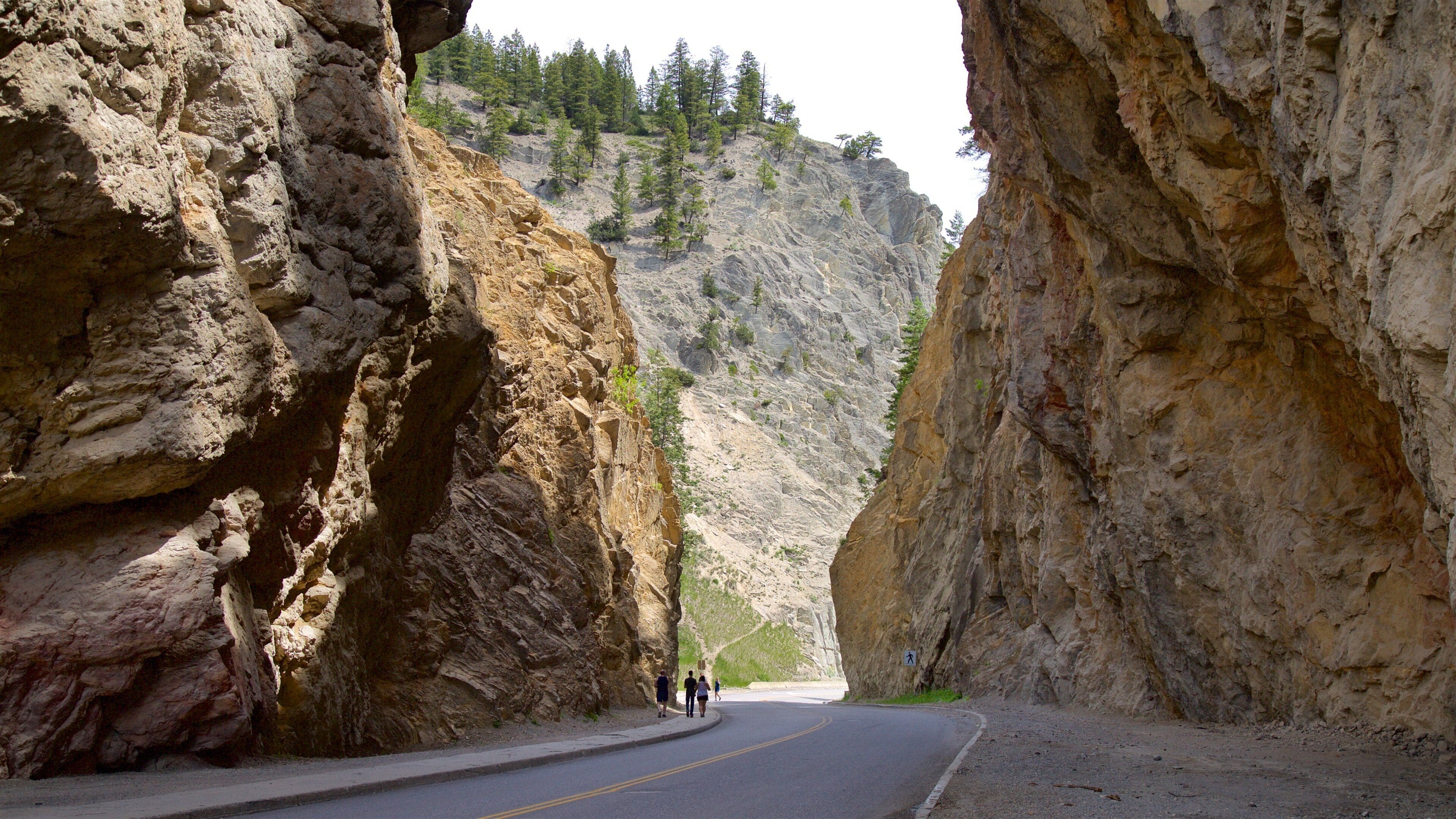 Kootenay National Park mostrando escenas tranquilas y también un pequeño grupo de personas