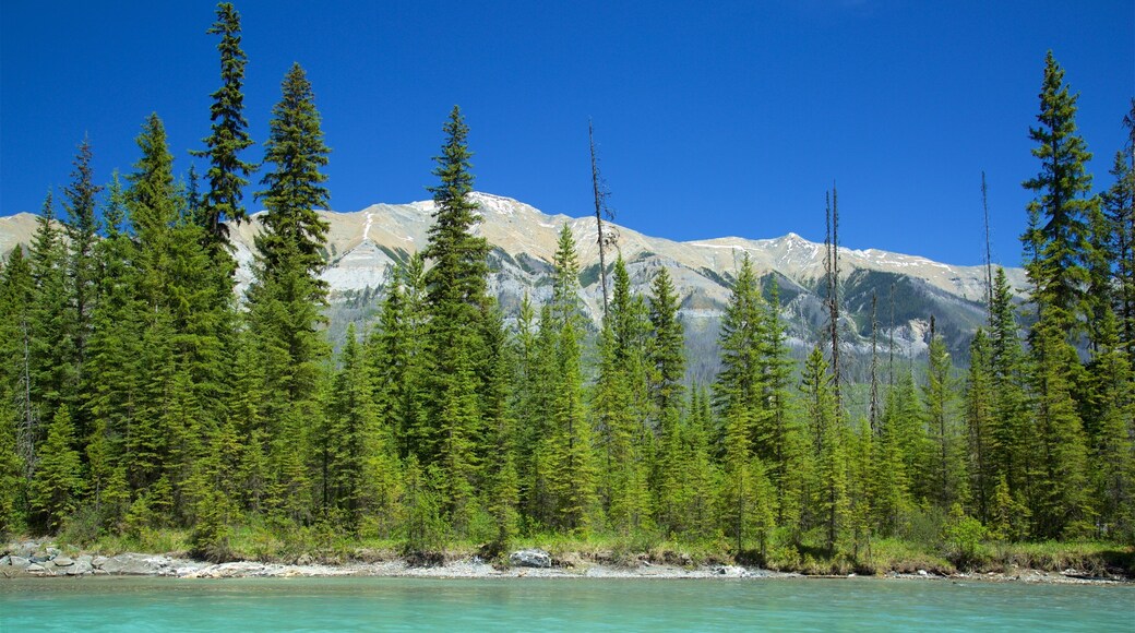 Kootenay National Park which includes a river or creek and tranquil scenes