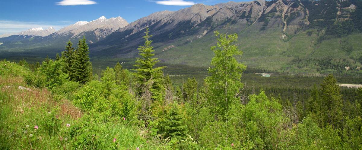 Kootenay National Park